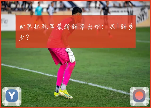 世界杯冠军最新赔率出炉：买1赔多少？