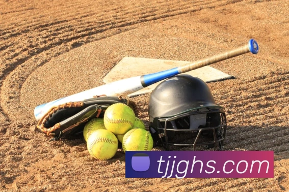 世界杯app官网服务体系